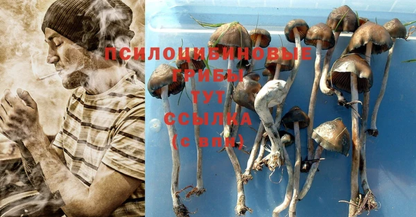 мдпв Горно-Алтайск