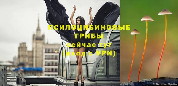 мдма Горнозаводск