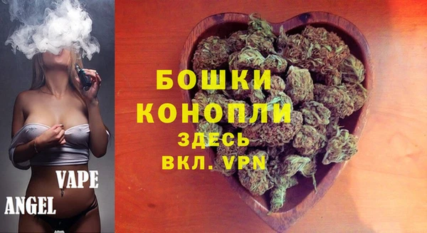 мдпв Горно-Алтайск