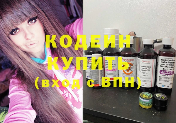 винт Вяземский