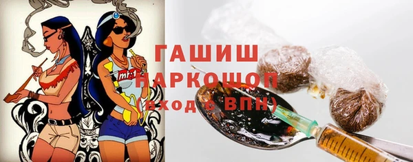 мдпв Горно-Алтайск
