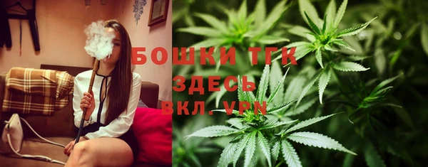 таблы Горняк